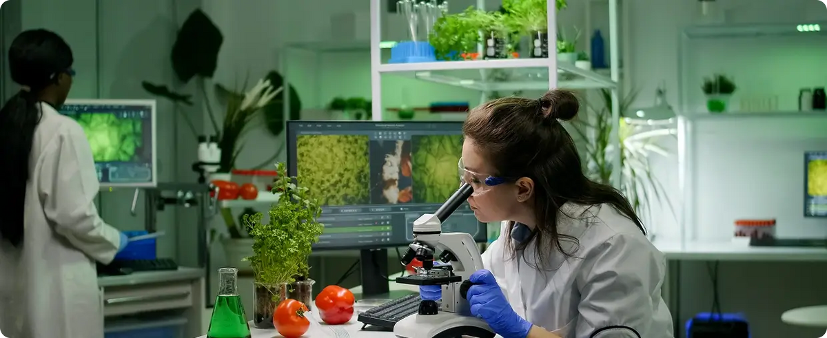 Lab technicians testing plant samples in a laboratory