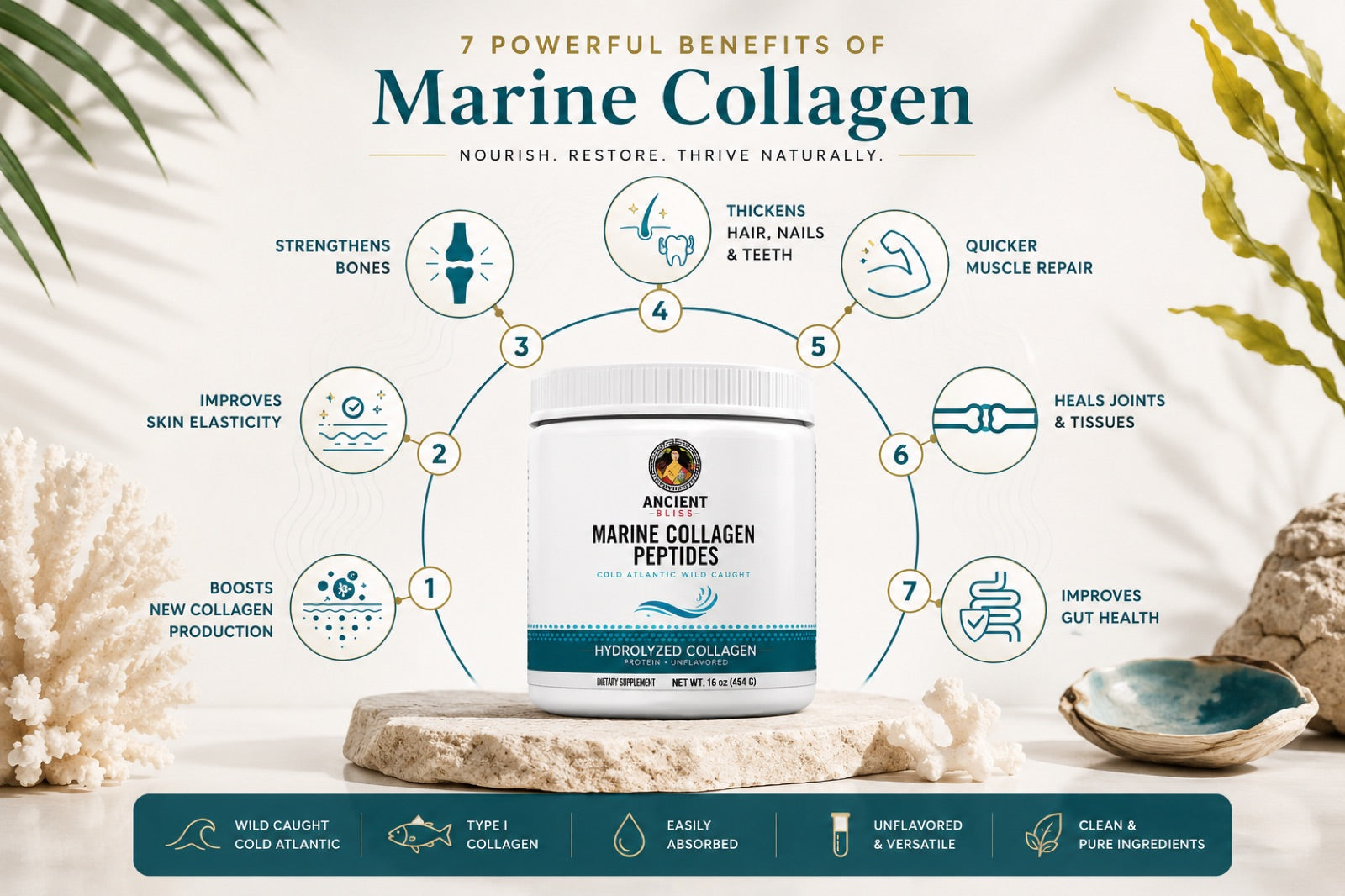 Marine Collagen benefits