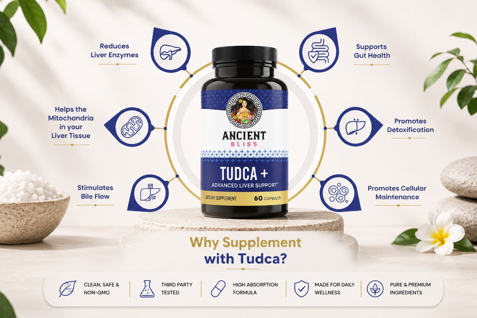Tudca benefits