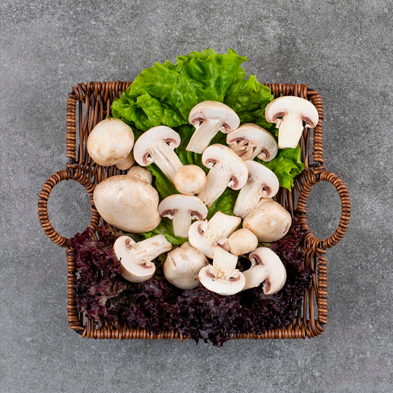 Lion's Mane Mushroom & Your Brain