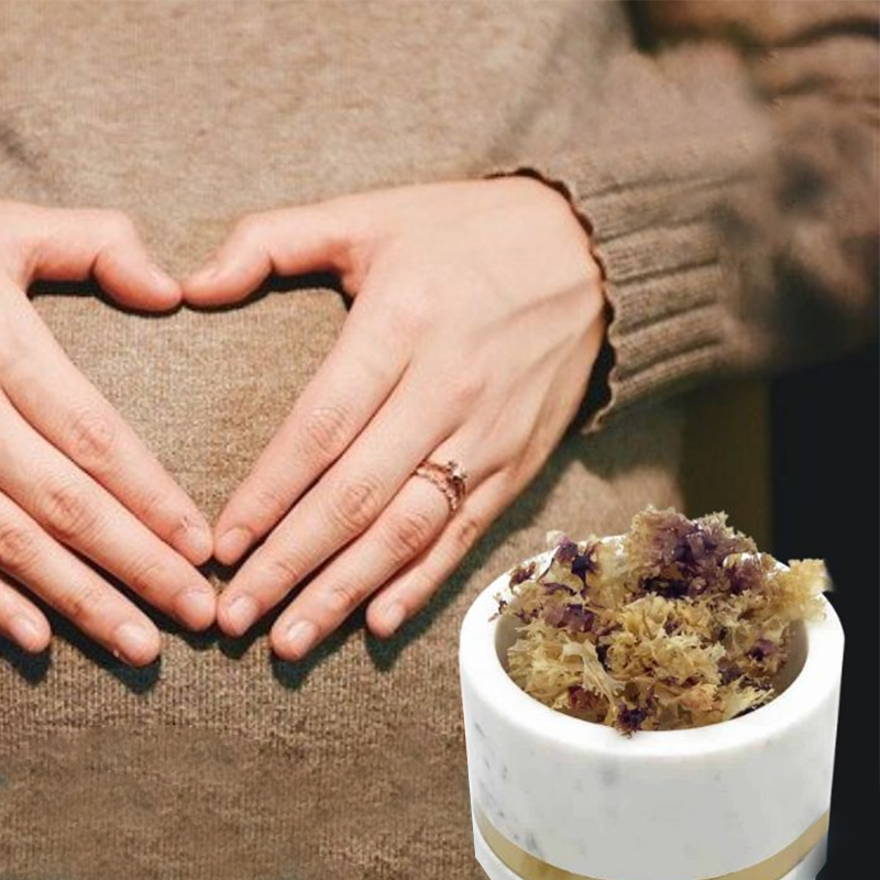 Sea Moss Organic Supplements and Fertility: Everything You Need To Know