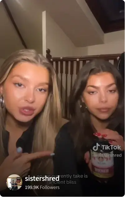 TikTok Video 5