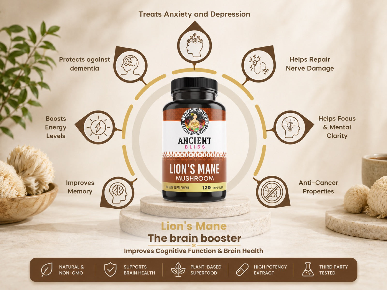 Lion's Mane Mushroom benefits